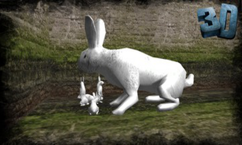 真正的兔子模拟器