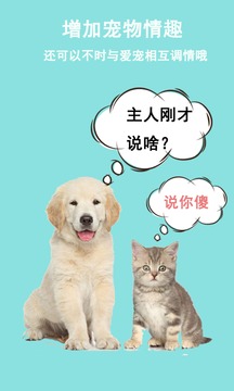 猫狗语言交流器