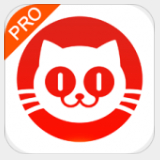 猫眼专业版实时票房app