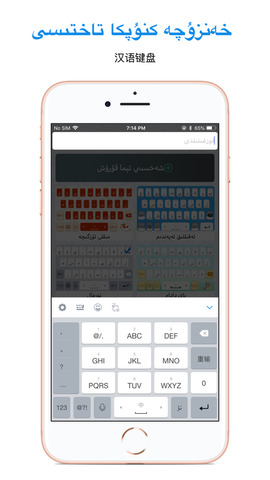 uyghurchekirguzguch维语输入法