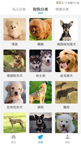 动物翻译器中文版