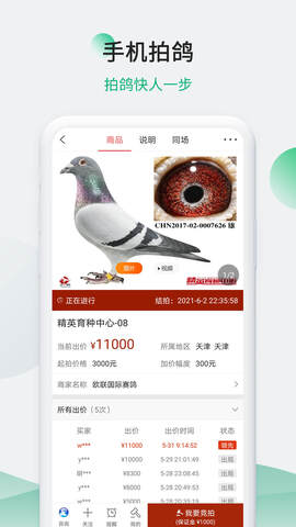 中国信鸽信息网app手机版