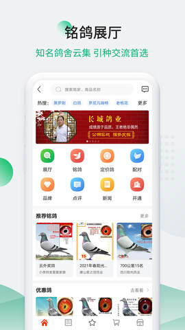 中国信鸽信息网app手机版