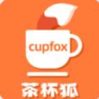 cupfox-茶杯狐