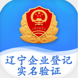 辽宁企业登记实名验证app